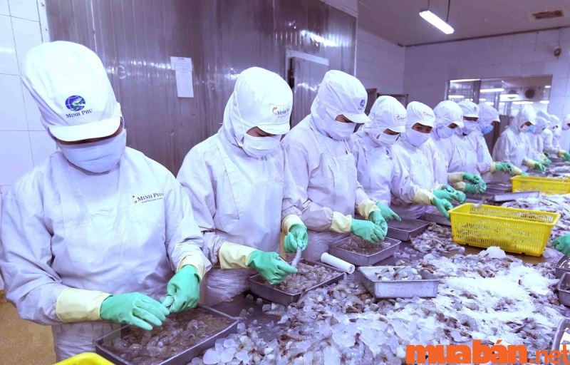 Chế biến thực phẩm, mục Đích và lợi Ích quan trọng