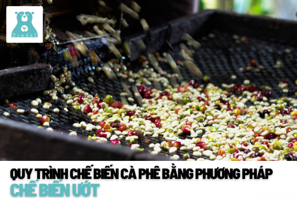 Chế biến Ướt tiếng anh là gì? tìm hiểu về wet processing trong nông sản và công nghiệp