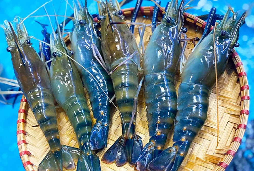 Khám phá hải sản tươi ngon mới nhất - Địa chỉ, giá cả và xu hướng mua sắm