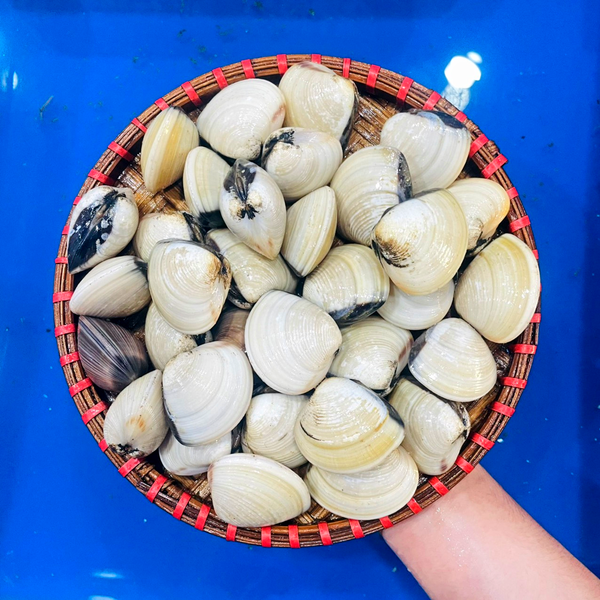 Hải sản tươi sống uyên uyên, Đặc sản biển tươi ngon tại tân uyên