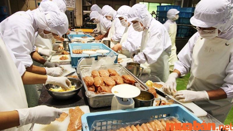 Ngành chế biến thực phẩm, tổng quan, cơ hội nghề nghiệp và xu hướng phát triển