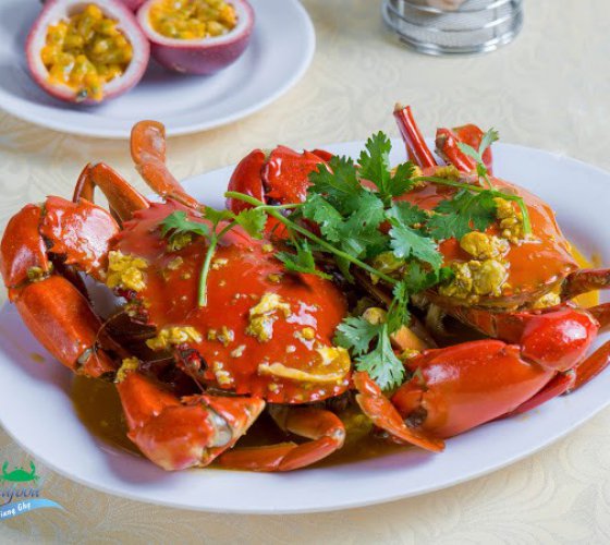 Sốt có nên ăn hải sản không?