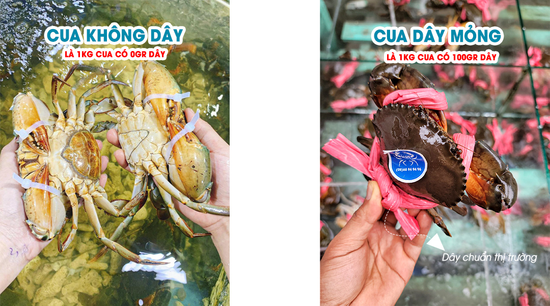 Giới thiệu về vựa hải sản cua không dây